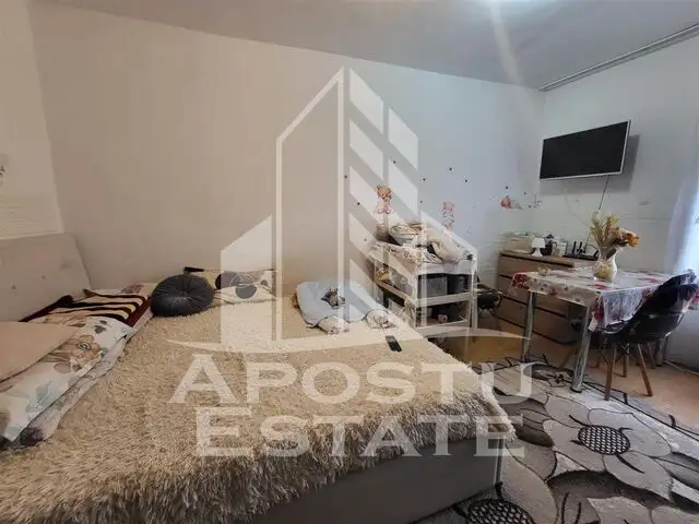 Apartament cu 1 camera, etaj intermediar, langa Iulius Mall