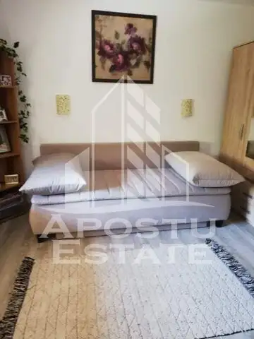 Apartament cochet cu 1 camera pod mansardabil  in zona Iosefin