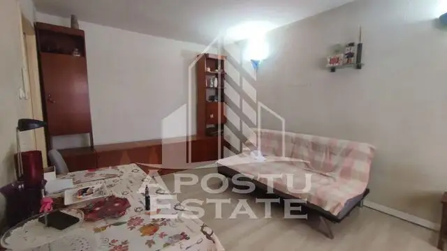 Apartament cu o camera, Pet Friendly, Zona Fabric