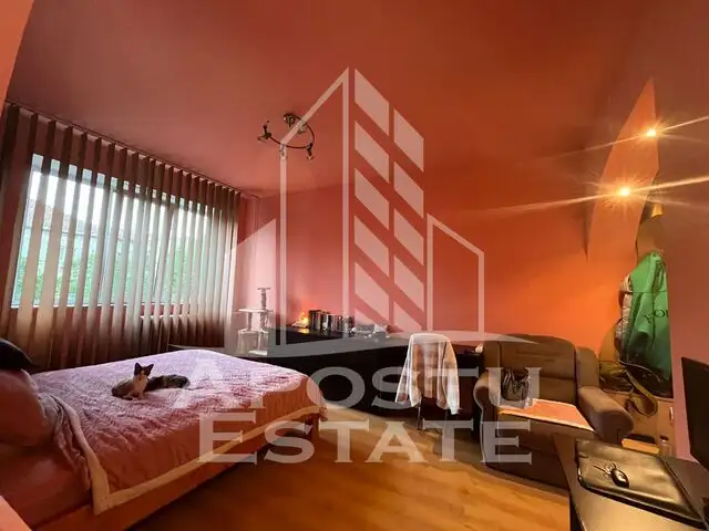 Apartament cu 2 camere situat in zona Buziasui