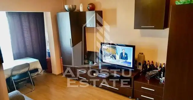 Apartament cu o camera in zona Lipovei, pet friendly