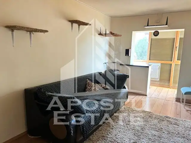 Apartament 2 camere in zona  Lipovei