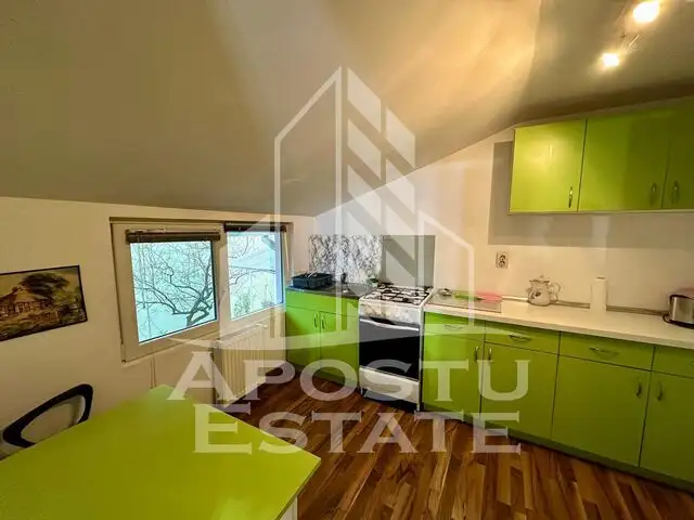 Apartament 2 camere, curte comuna, centrala proprie, Iosefin