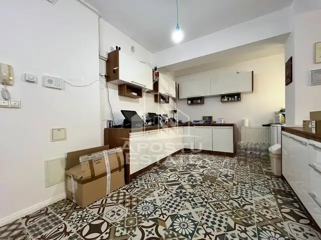 Apartament cu 2 camere, terasa 124mp, zona Torontalului