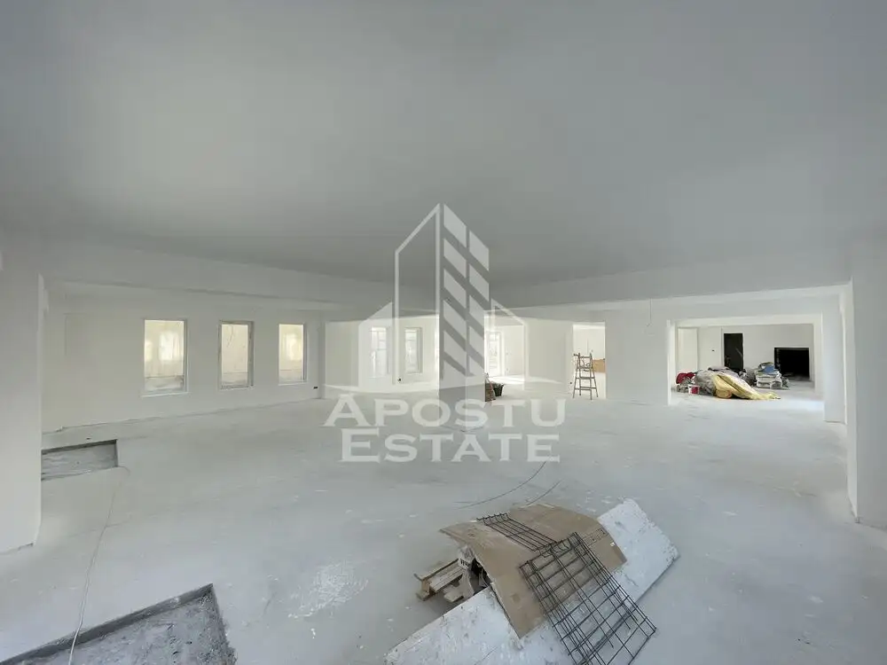 Spatiu comercial 238 mp, zona Lipovei , artera circulata