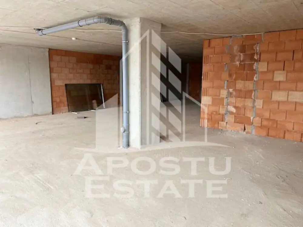 Spatiu comercial zona Take Ionescu