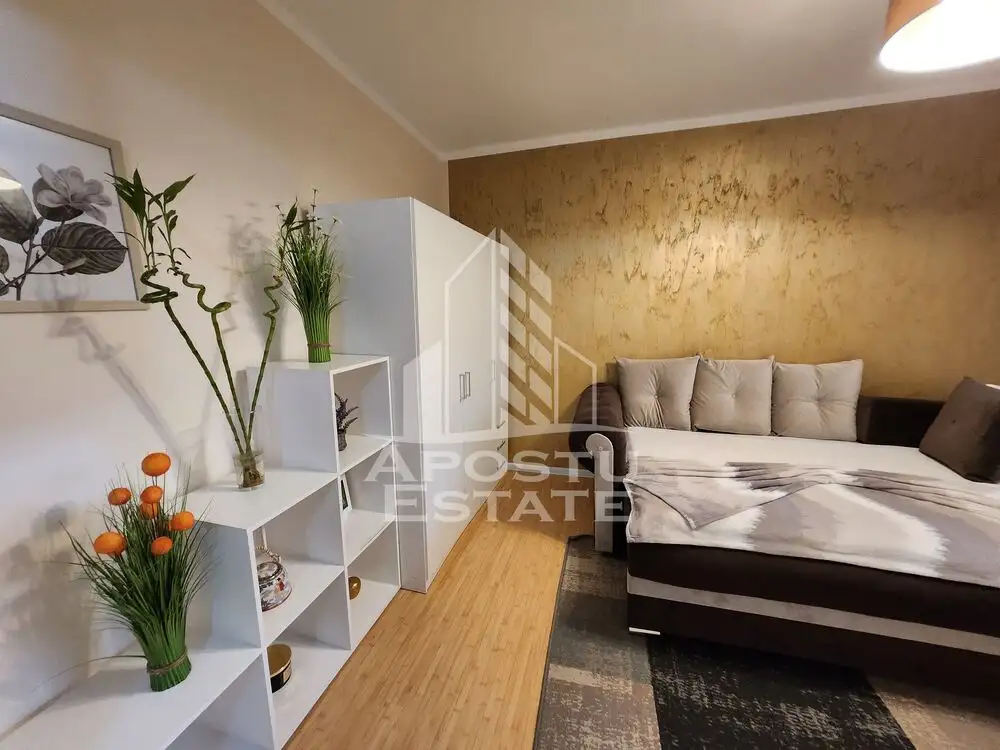 Apartament cu o camera, ideal pentru investitie,  zona Lipovei