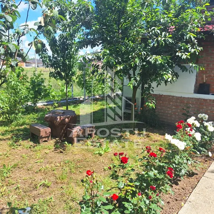 Casa individuala in Ianova,Comuna Remetea Mare