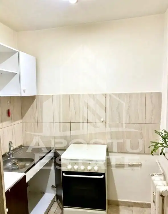 Apartament o camera in zona Aradului, petfriendly