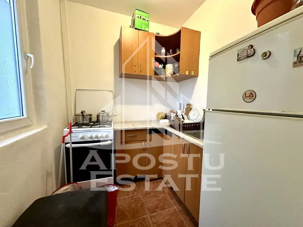 Apartament cu o camera, etajul 1, zona Sagului