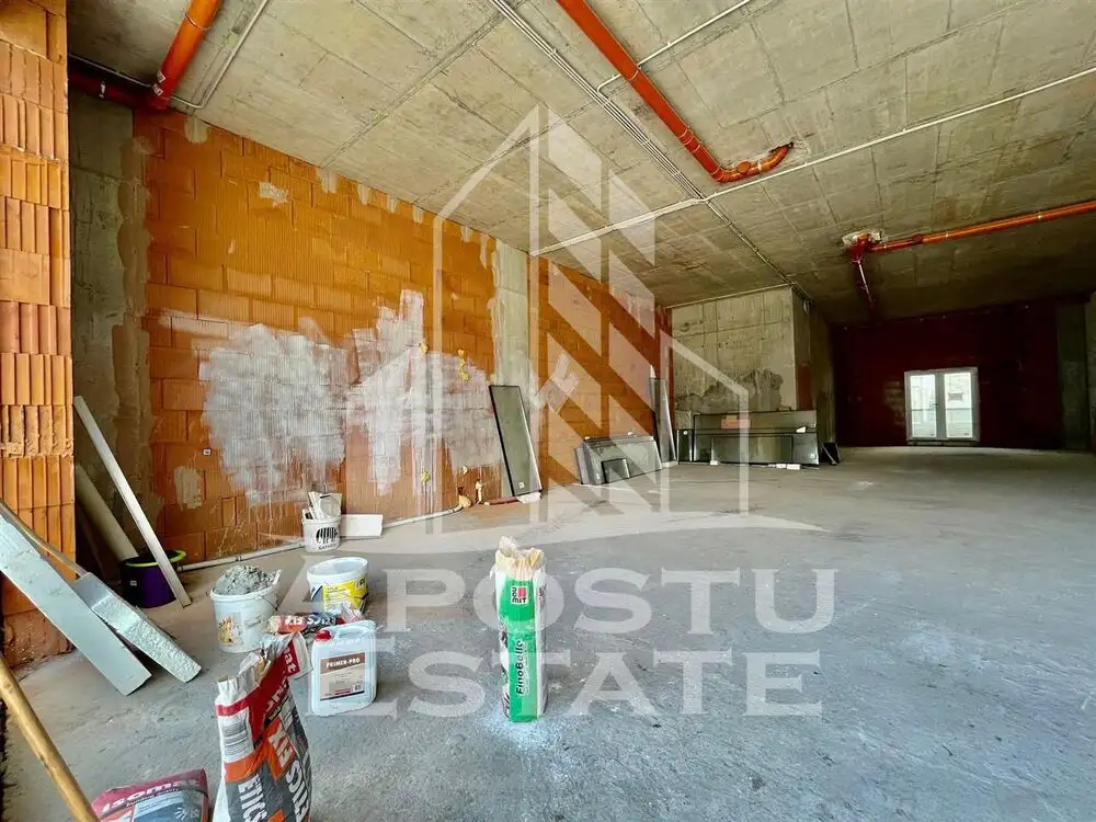 Spatiu comercial, 119 mp utili, zona Take Ionescu