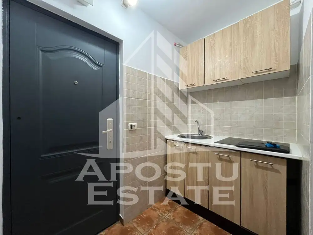 Apartament cu 1 camera, complet renovat in zona Iosefin