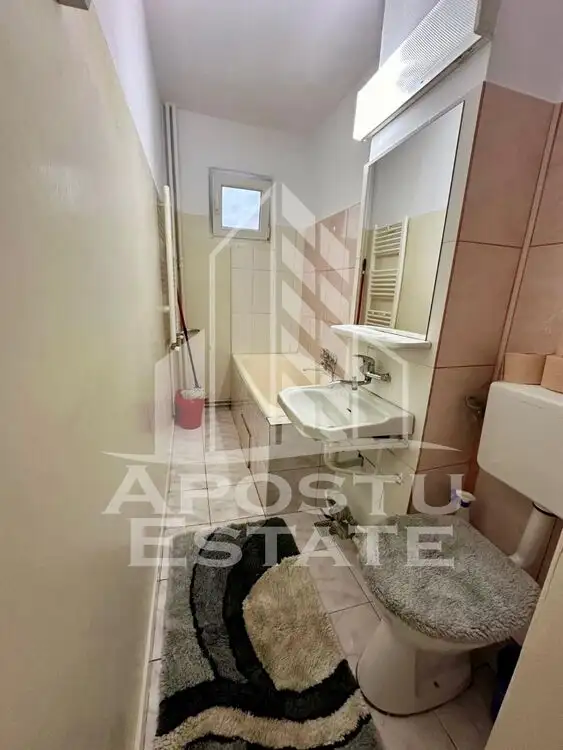 Apartament o camera, pet-friendly, centrala proprie, Sagului