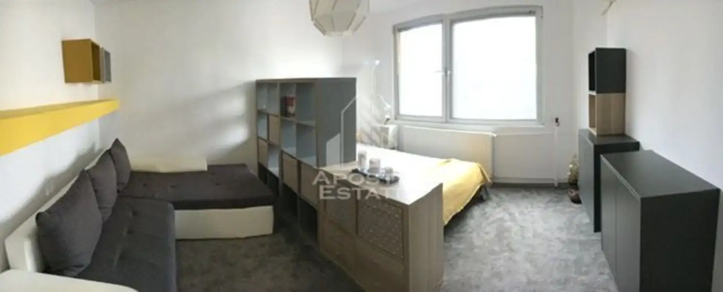 Apartament cu 1 camera Zona Aradului