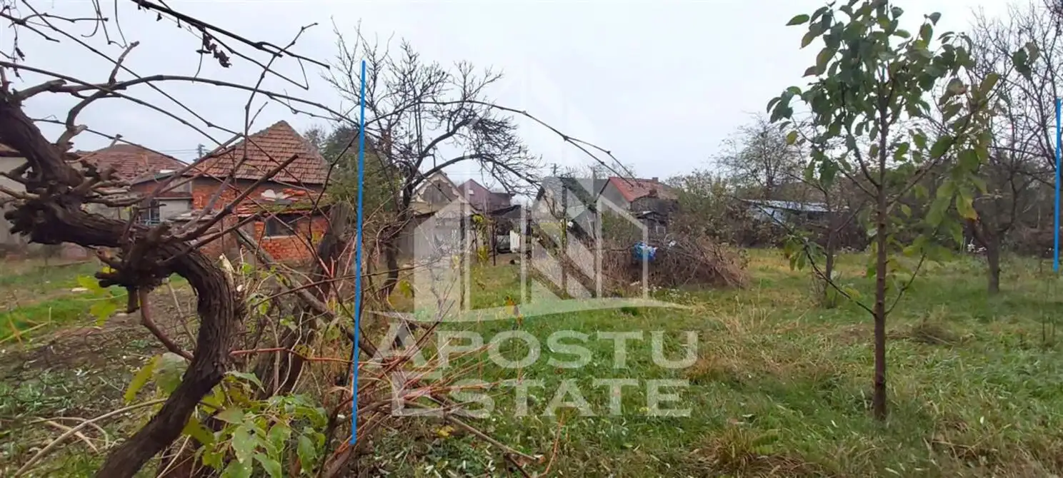 Casa veche. teren de 987 mp in zona Cadas