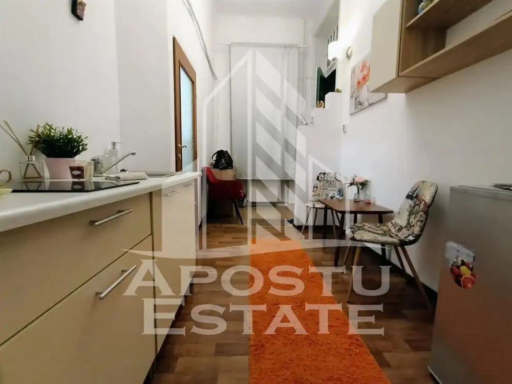 Apartament cu 1 camera, confort sporit, situat in Paiata Victoriei