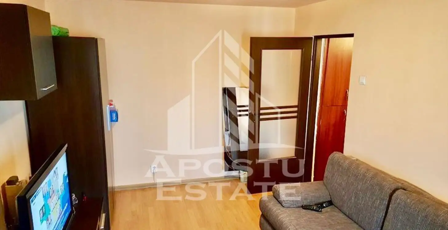 Apartament cu o camera in zona Lipovei, pet friendly