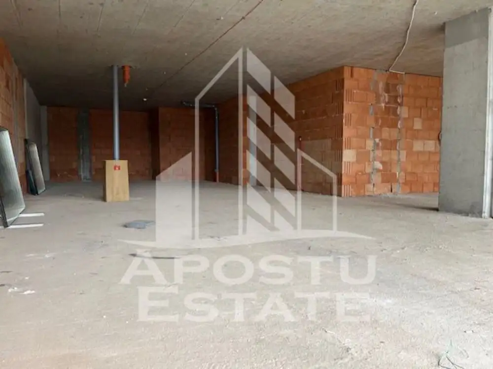 Spatiu comercial zona Take Ionescu