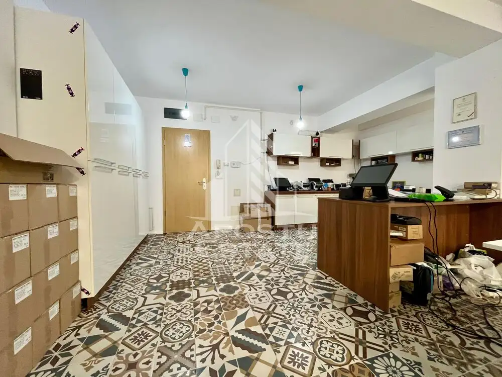 Apartament cu 2 camere, terasa 124mp, zona Torontalului