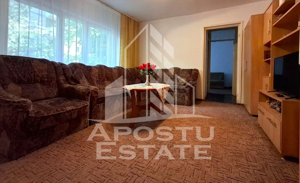 Apartament 2 camere parter micalaa orizont