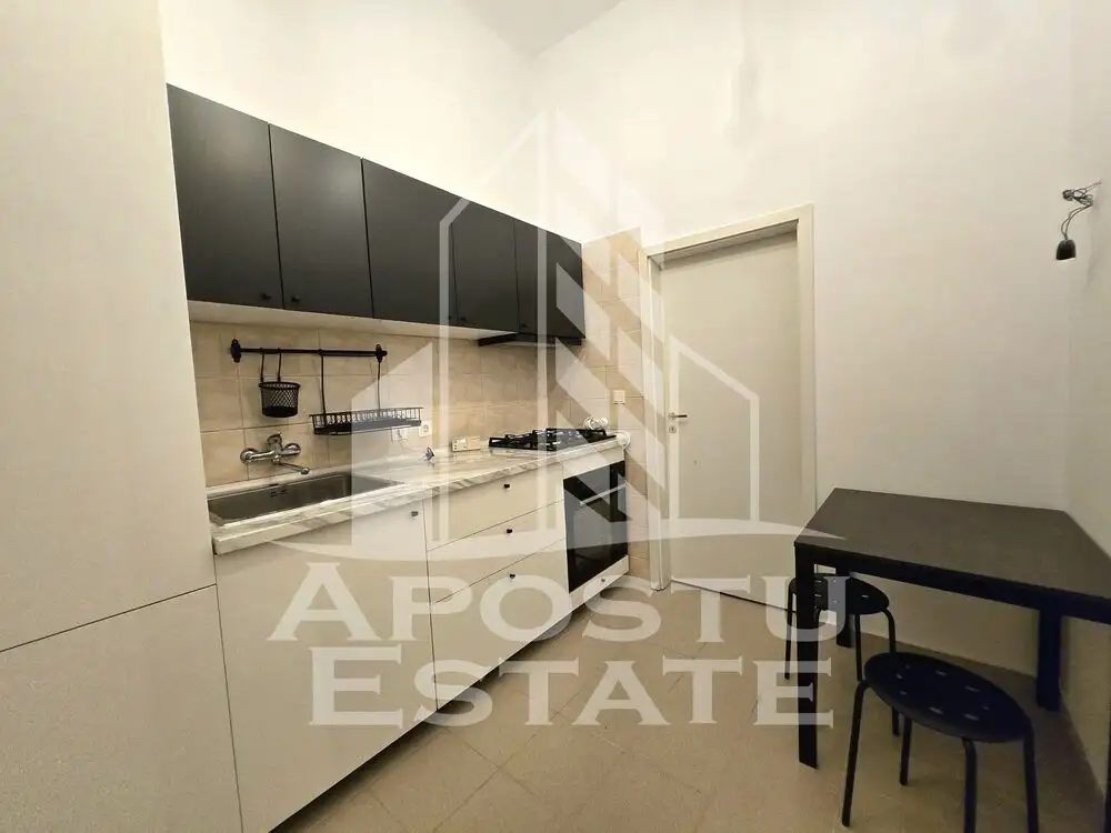 Apartament cu o camera decomandat, Iosefin