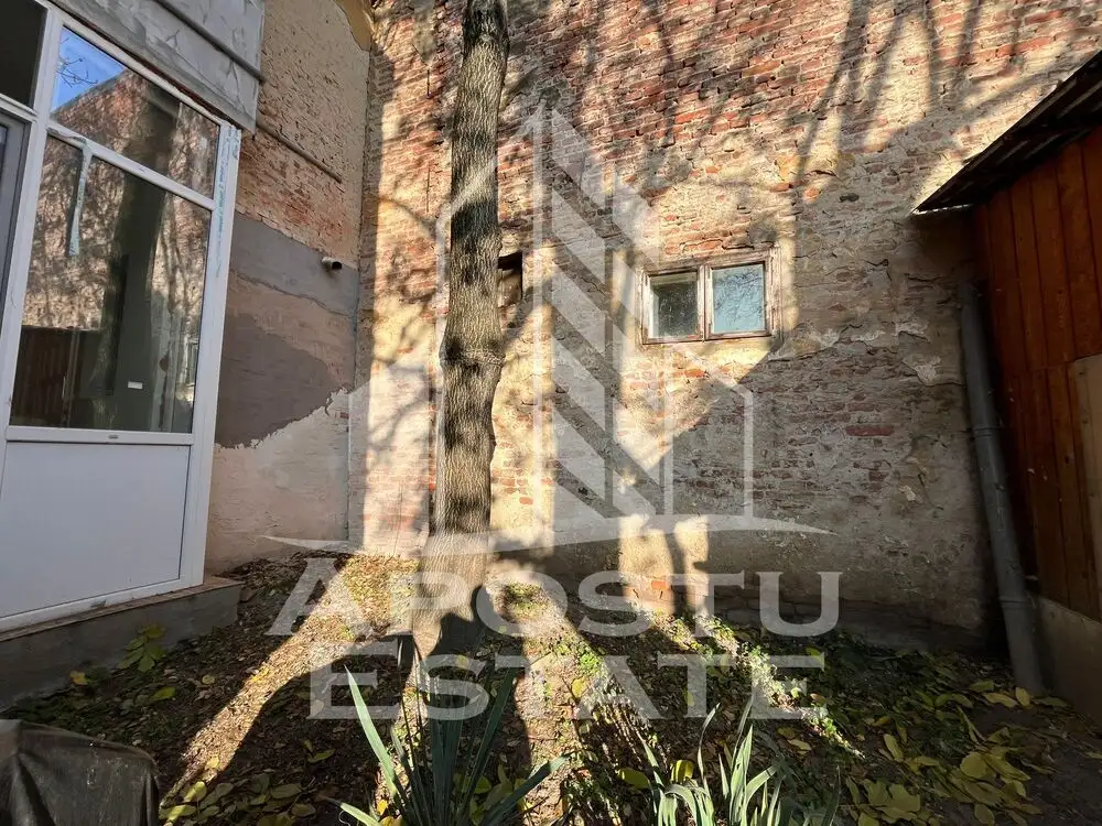 Apartament cu 1 camera, semidecomandat, curte proprie,zona Iosefin