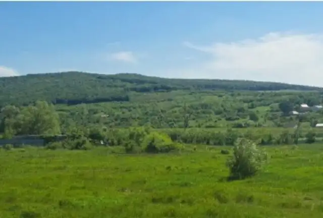 Teren agricol extravilan, Com Barnova, Jud. Iasi