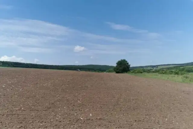 Teren extravilan agricol 10000 mp in Sura Mica, jud. Sibiu