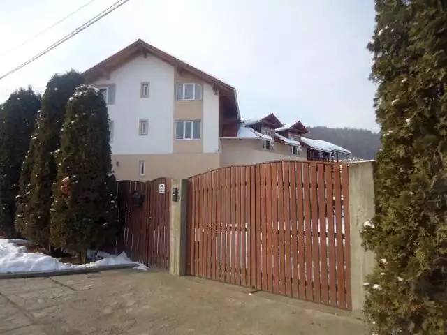 Vila situata in satului Viișoara, comuna Alexandru cel Bun, județul Neamț