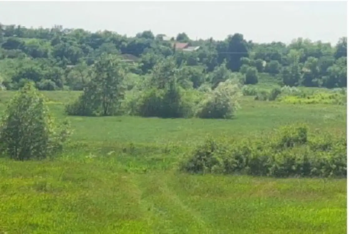 Teren agricol extravilan, Com Barnova, Jud. Iasi