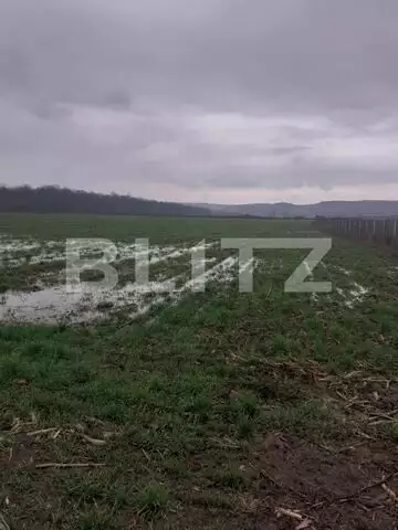 Teren extravilan de 7500mp, Filiasi-Zona Padurea Militari