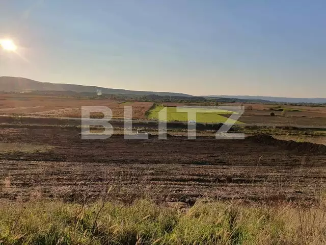 Teren de 28800MP(2.8ha). Pregatit pentru investitie! 