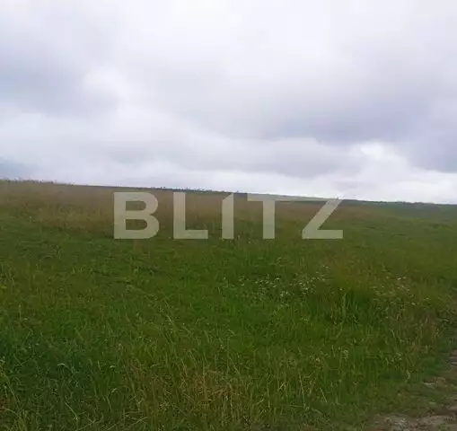 Teren intravilan de 1500 mp zona Țarna, Burdujeni