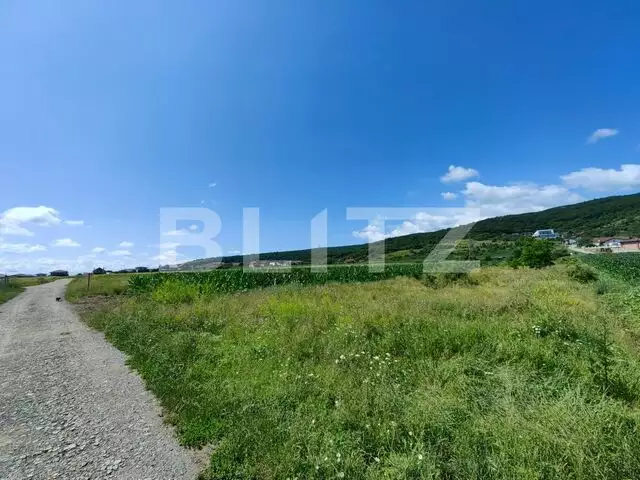 Teren intravilan, 4670 mp, zona Micești partea stanga