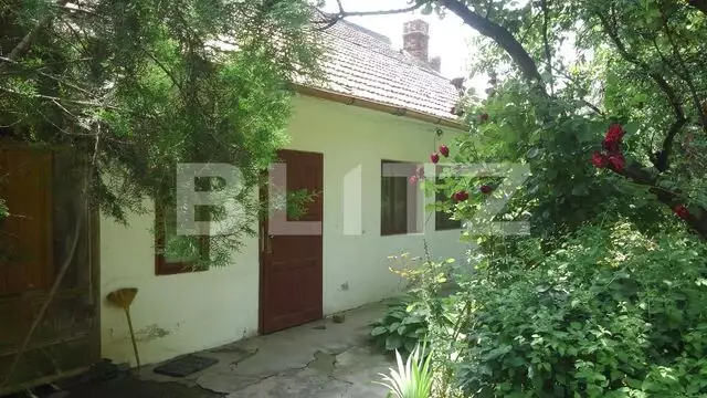 Casa 4 camere, 926 mp teren, Parneava