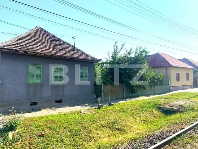 Casa renovabila, 1000 mp teren, front stradal 22 ml, 167 mp construiti, Vladimirescu