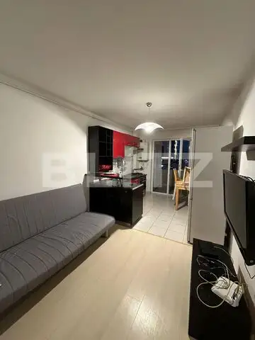 Apartament 1 camera , 50 mp  , Edgar Quinet 