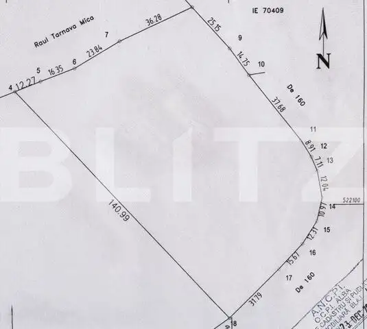 Teren extravilan cu potential ridicat, 10.000 mp, zona Blaj - Petrisat