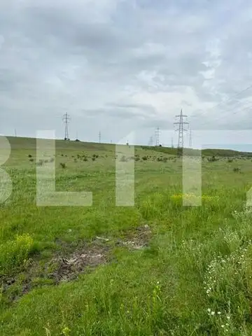 Teren extravilan pretabil proiect fotovoltaic - 99.969 mp, Pielești