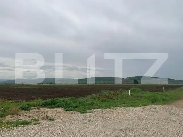 Teren intravilan, 41000 cu PUZ pentru hala, zona Alba-Sebes langa A1