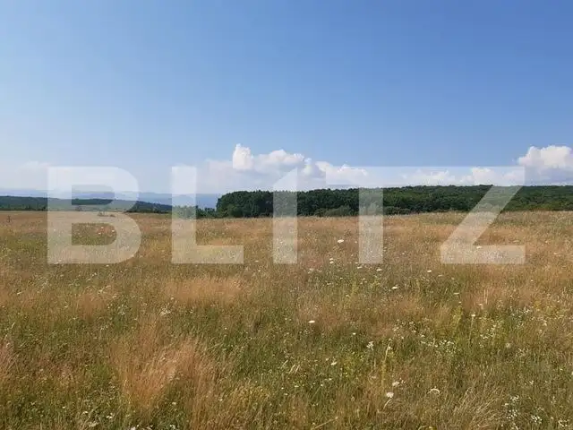 Teren 5000 mp de vanzare in satul Rusciori la 8 km de Sibiu
