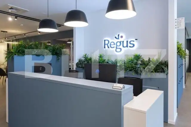 Birouri All-inclusive Regus, 2-22 persoane, mobilate si echipate, Iulius Mall