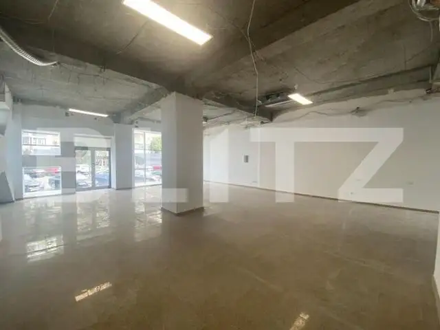 Spatiu comercial, 175 mp, Zona Ultracentrala