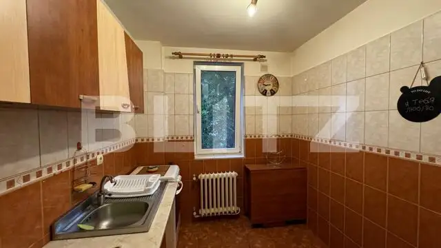 Apartament 2 camere, 52 mp, zona Brazda lui Novac