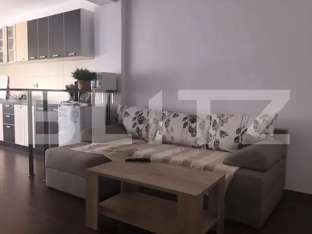 Apartament de inchiriat 40mp, zona Doamna Stanca