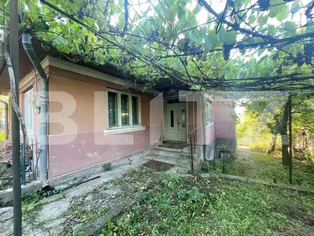 Casa de vanzare, 70 mp , teren de 3000 mp , Cacova Ierii 