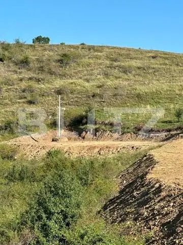 Teren extravilan 4400 mp, super view pentru cabana, apa si curent Trans Apuseana