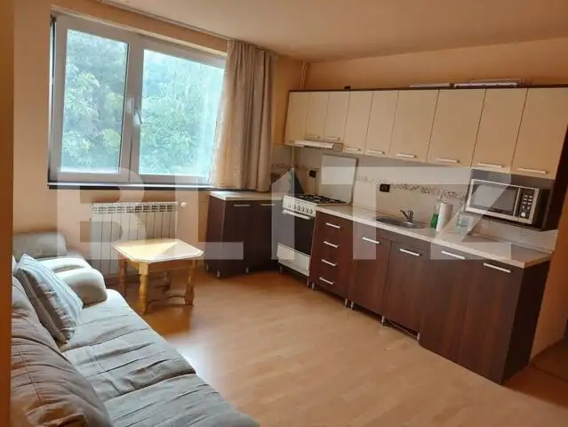 Apartament cu 2 camere 