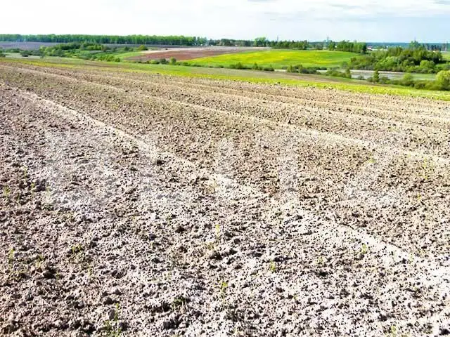 Teren  de vanzare livada de bihor 5800 mp 