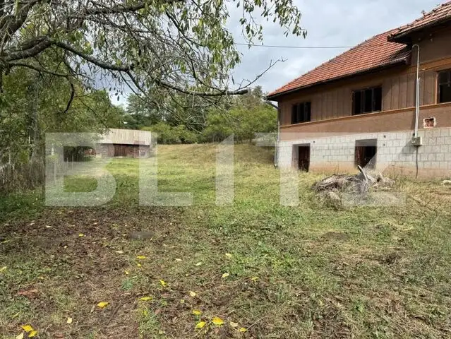 Casă la munte, 15000 mp teren, zona Zlatna - Almasu